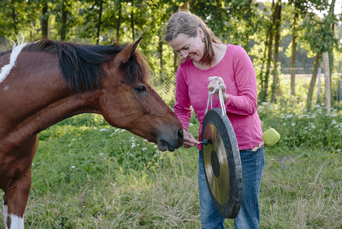 Gongspielen für ein Pferd